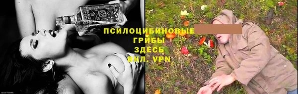 меф Богородицк