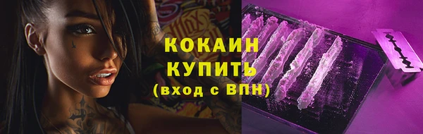 стаф Покровск
