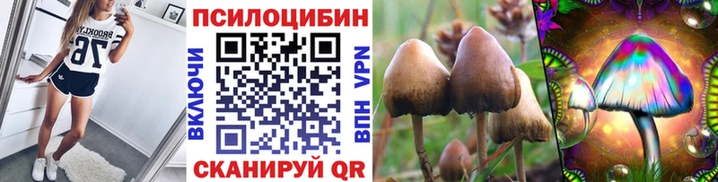 Галлюциногенные грибы мухоморы купить наркоту Новоржев